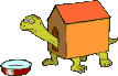 tartaruga cuccia.gif